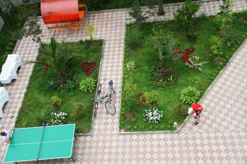 Hotel Exotica