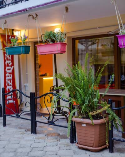 Batumi Surf Hostel