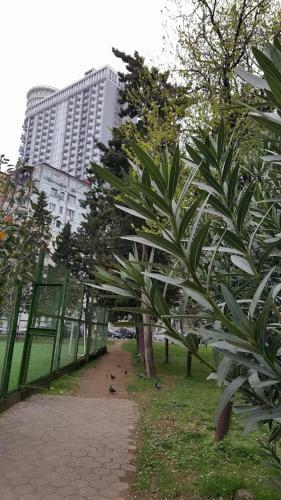Orbi Apartment