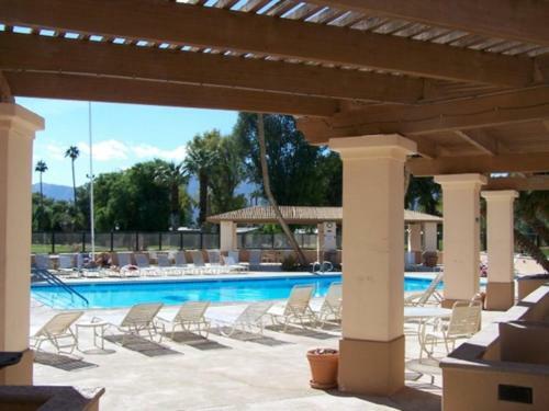 Roadrunner Club 18 Home