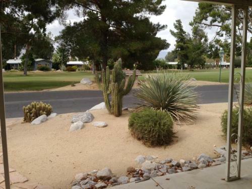 Roadrunner Club 137 Home Home