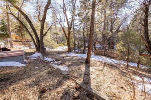 Conklin Paradise #1993 By Big Bear Vacations