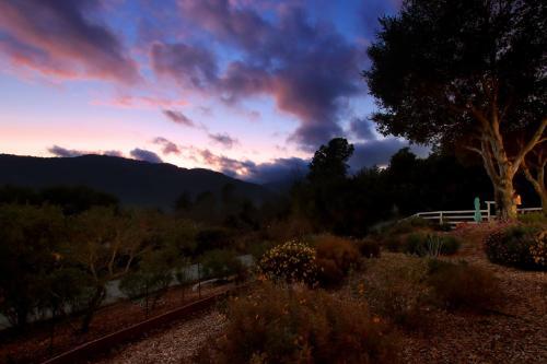 Wine Country Paradise - Private 1-acre Estate Home