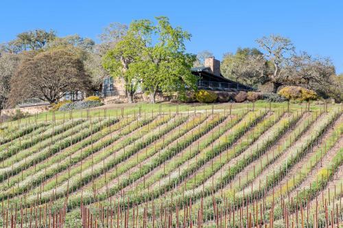 Woodhawk Vineyards Estate