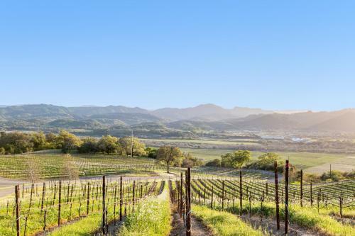 Woodhawk Vineyards Estate