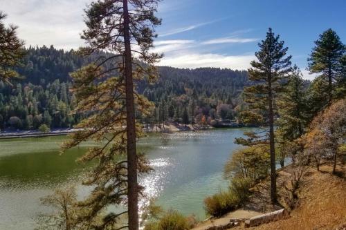 The Atomic Squirrel Lodge Lake Gregory Getaway!