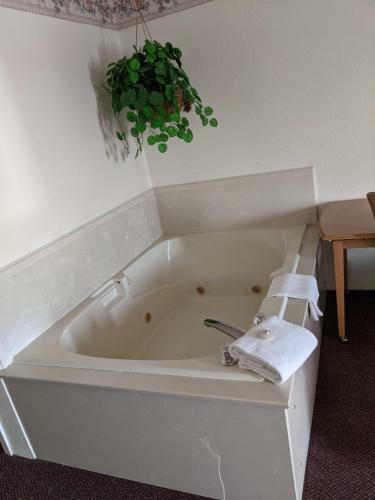 Hotel Bayview Inn