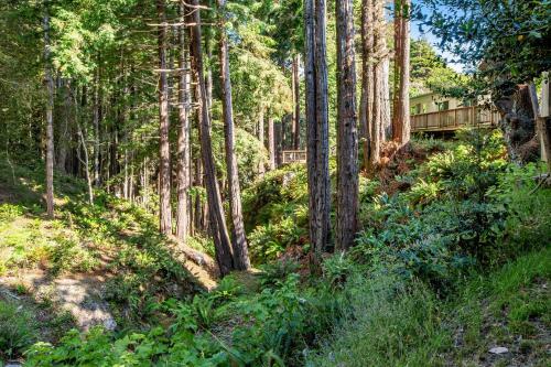 Havens Creek Suites