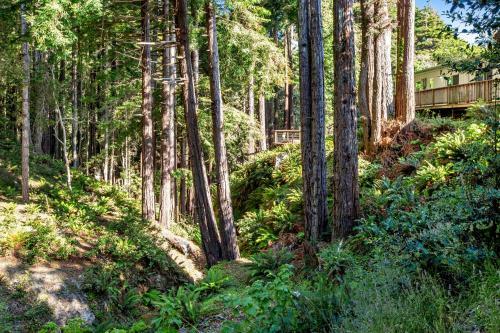 Havens Creek Suites