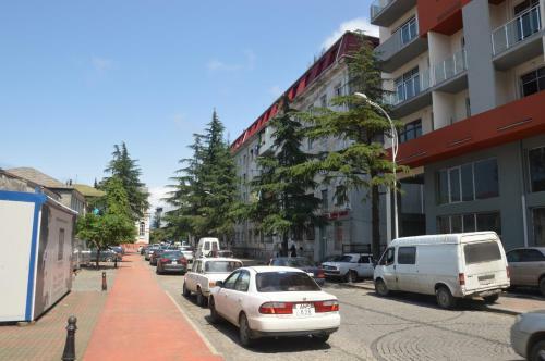 Irakli's Apartment With Terrace