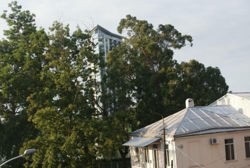 Shveli Apartment