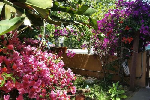 Apartamento Nirvana~ Stylish Cottage Loft Studio @venice Beach