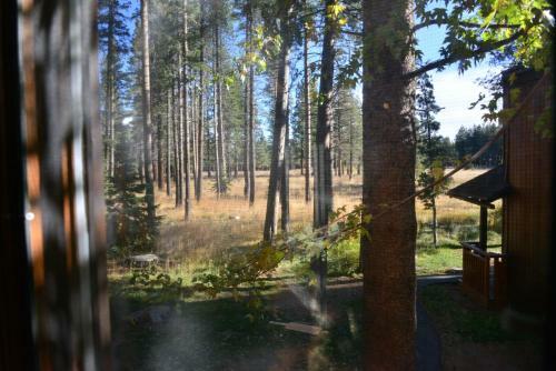 Meadow Ridge #47