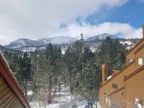 Apartamento Aspen Creek #224