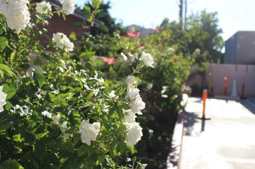 Hotel Erth Inn By Aga Maywood