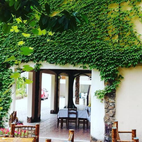 Green Hotel