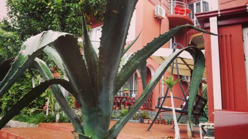 Posada Gold Hotel
