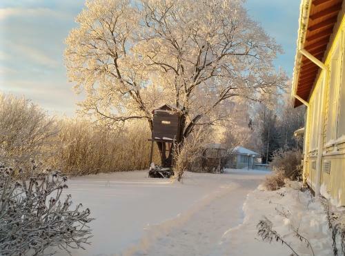 Hostal Majatalo My�t�tuuli