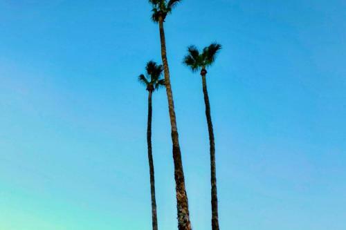Your Private Ritz Carlton In Palm Springs