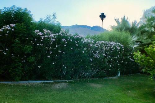 Your Private Ritz Carlton In Palm Springs