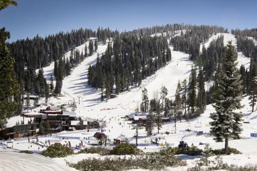 Northstar Bliss