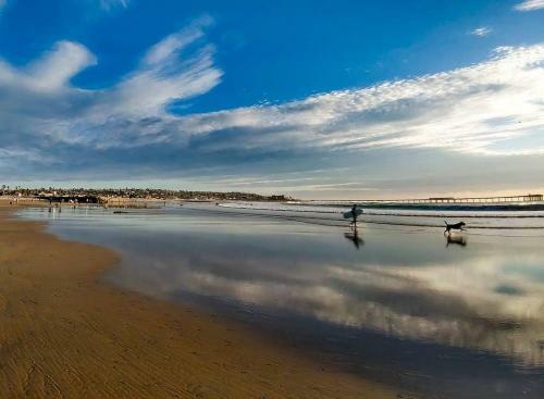 Sd026f Rockaway