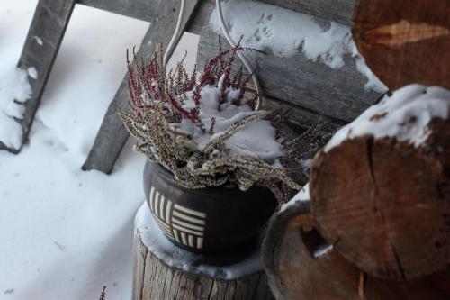 Bed & Breakfast Nelj�n Tuulen Tupa