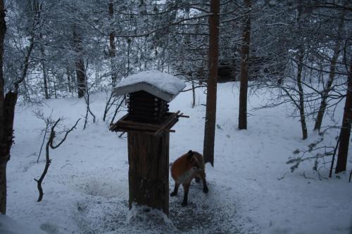 Bed & Breakfast Nelj�n Tuulen Tupa