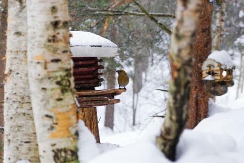 Bed & Breakfast Nelj�n Tuulen Tupa