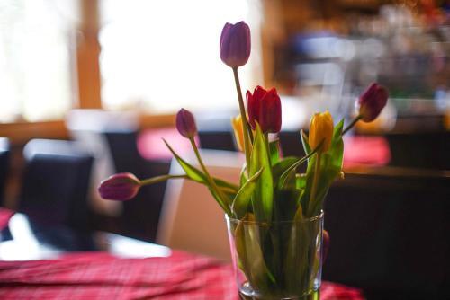 Bed & Breakfast Nelj�n Tuulen Tupa