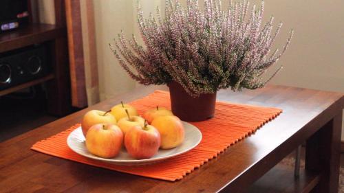 Apartamentos Villa Yll�s 101