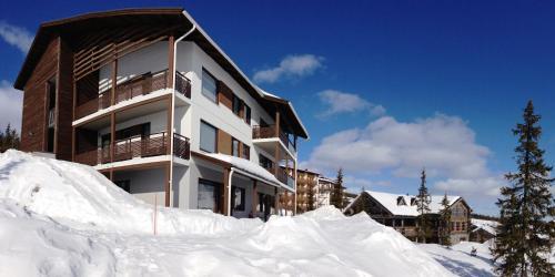 Apartamentos Villa Yll�s 101