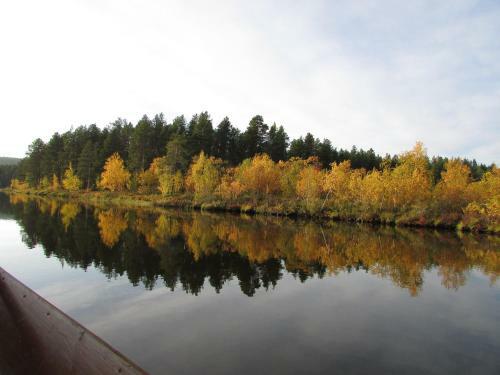 Lemmenjoki Camping & Cabins