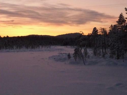Lemmenjoki Camping & Cabins