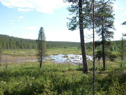 Lemmenjoki Camping & Cabins