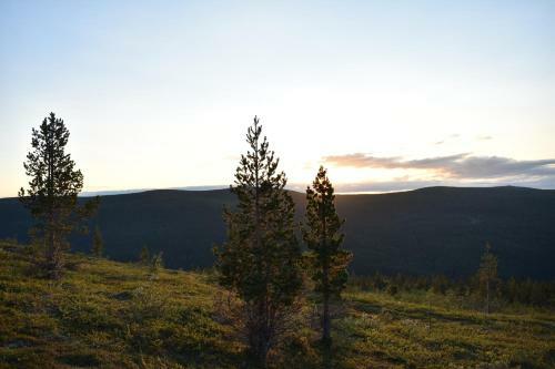 Lemmenjoki Camping & Cabins