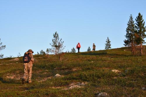 Lemmenjoki Camping & Cabins