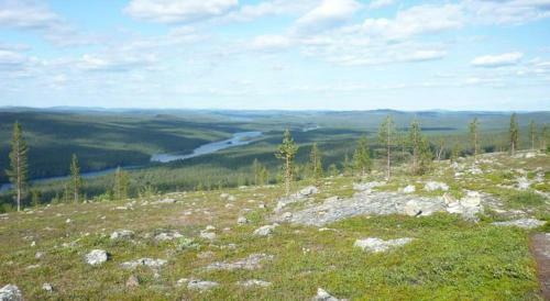 Lemmenjoki Camping & Cabins