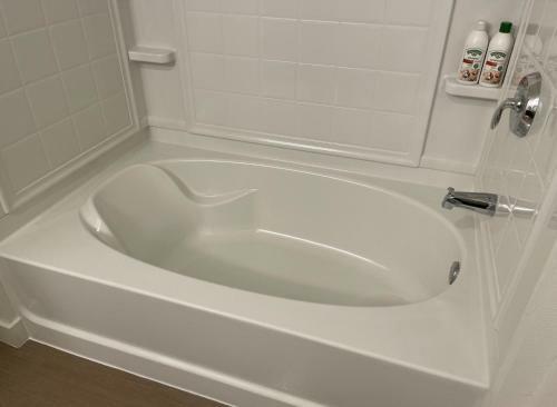 Luxury San Mateo Apartment