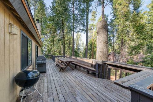 Adventure Lodge