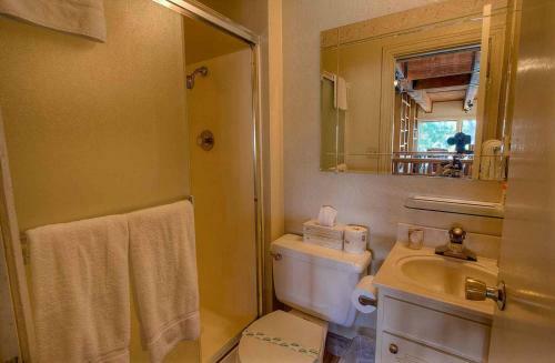 Evergreen Escape By Lake Tahoe Accommodations