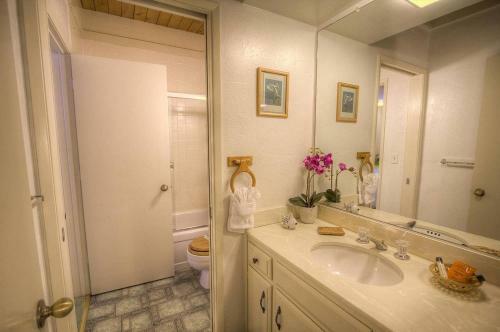 Walk On Water By Lake Tahoe Accommodations