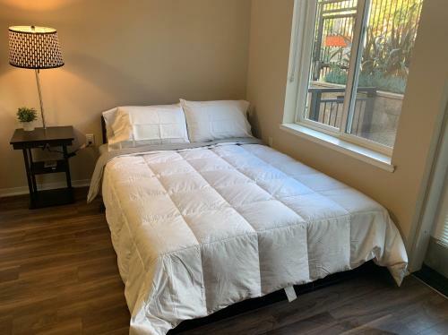 Luxury Apartment In Downtown Sunnyvale