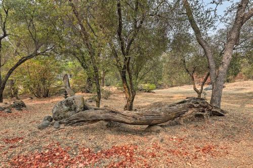 Three Rivers Retreat - 6 Miles To Sequoia Np!