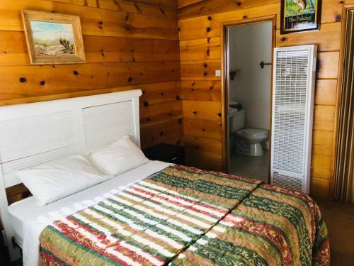 Motel Mountain View Cabins