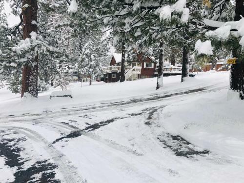 Motel Mountain View Cabins