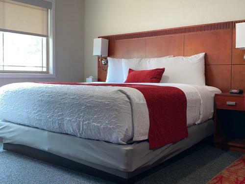 Apartamento Bell & Main Studios 206