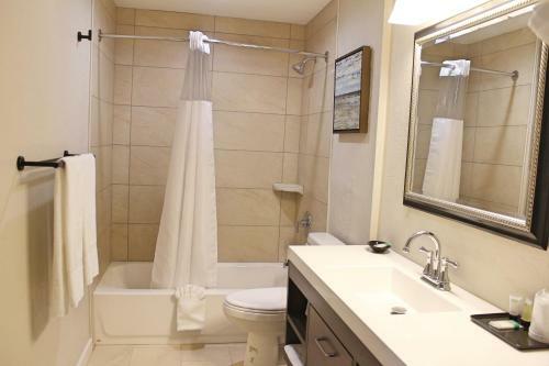 Apartamento Bell & Main Studios 206