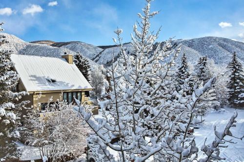 Apartamento Avon Condo - Mtn Views, Beaver Creek Shuttle!