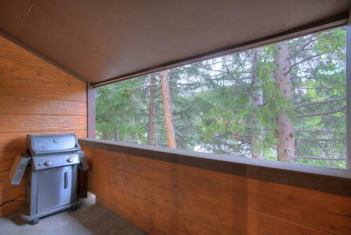 Apartamento Motherlode C9 Condo